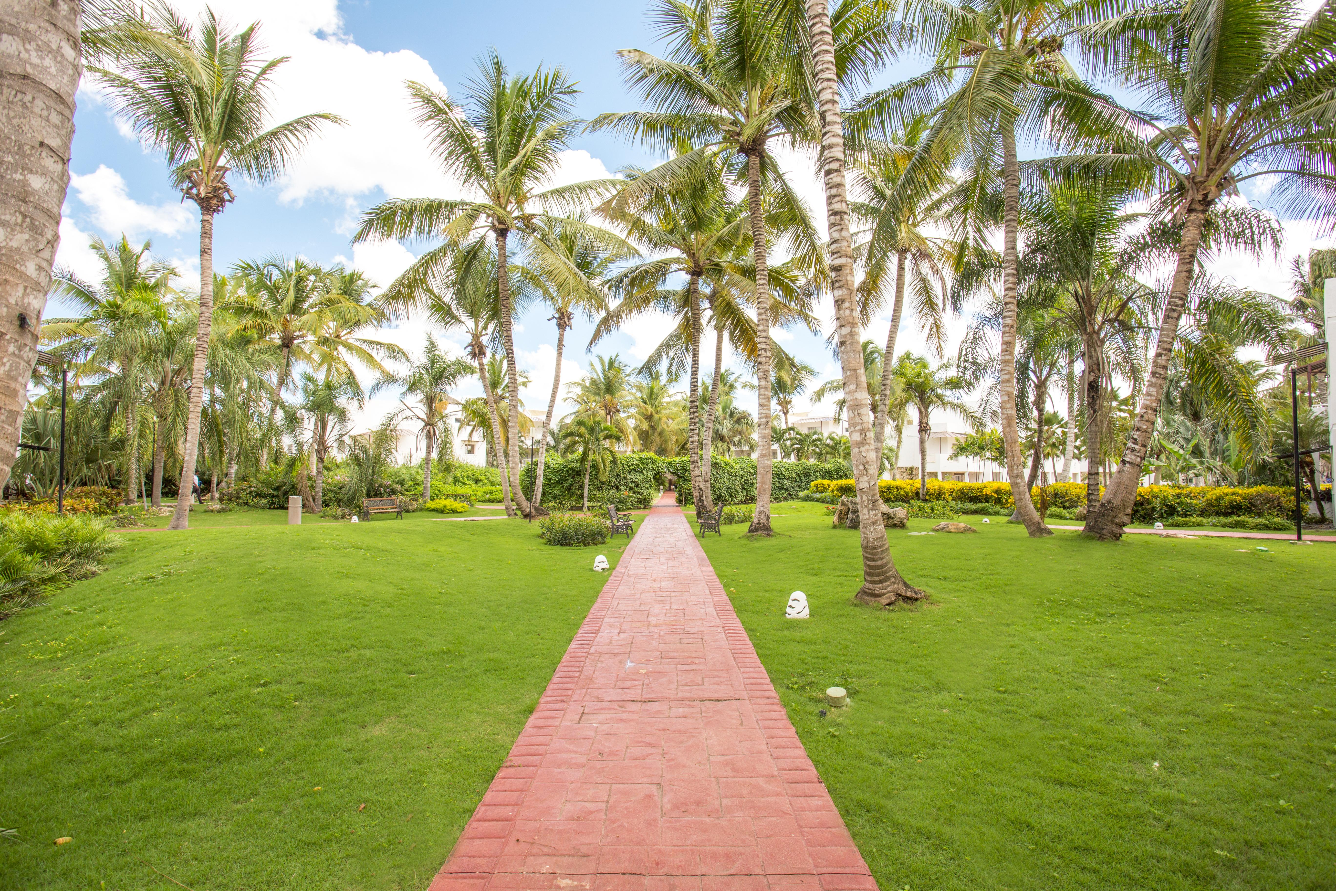 Be Live Collection Canoa Bayahibe Exterior photo The Palm Grove